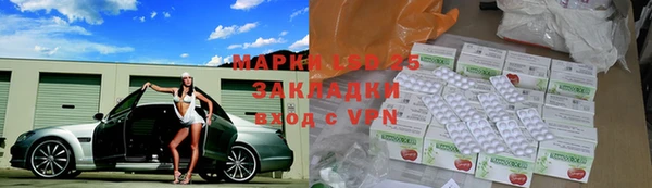 ECSTASY Алзамай
