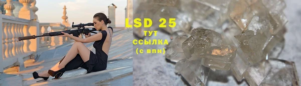 ECSTASY Алзамай