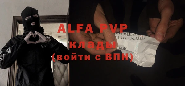 гашик Алексеевка
