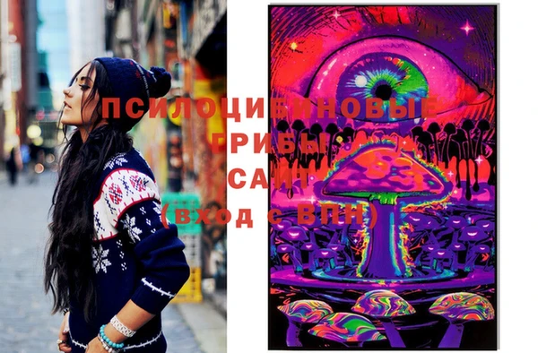 ECSTASY Алзамай