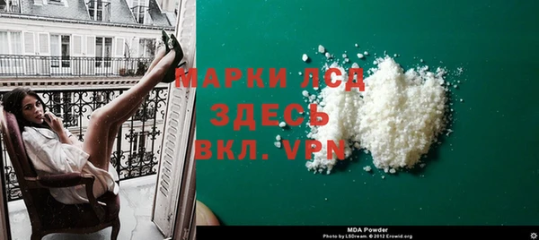 ECSTASY Алзамай